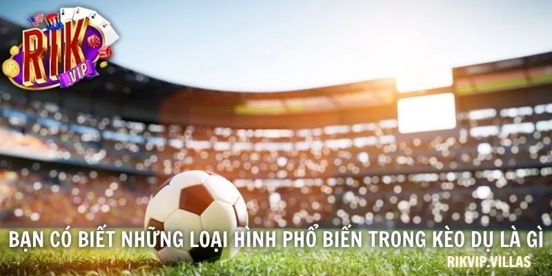 Bạn có biết những loại hình phổ biến trong kèo dụ là gì