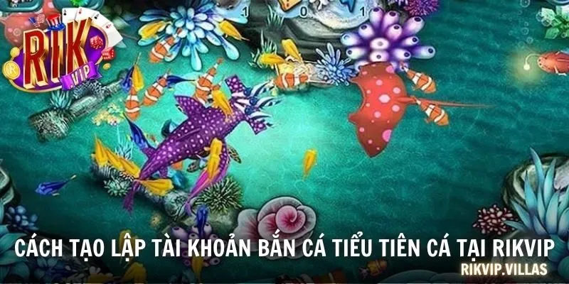Cách tạo lập tài khoản bắn cá tiểu tiên cá tại RIKVIP