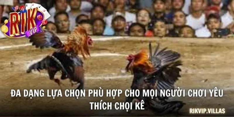 Đa dạng lựa chọn phù hợp cho mọi người chơi yêu thích chọi kê