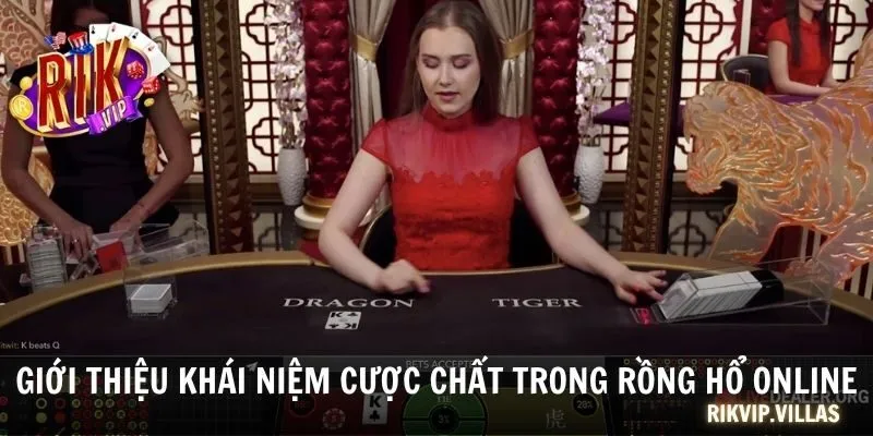 Giới thiệu khái niệm cược chất trong Rồng Hổ online